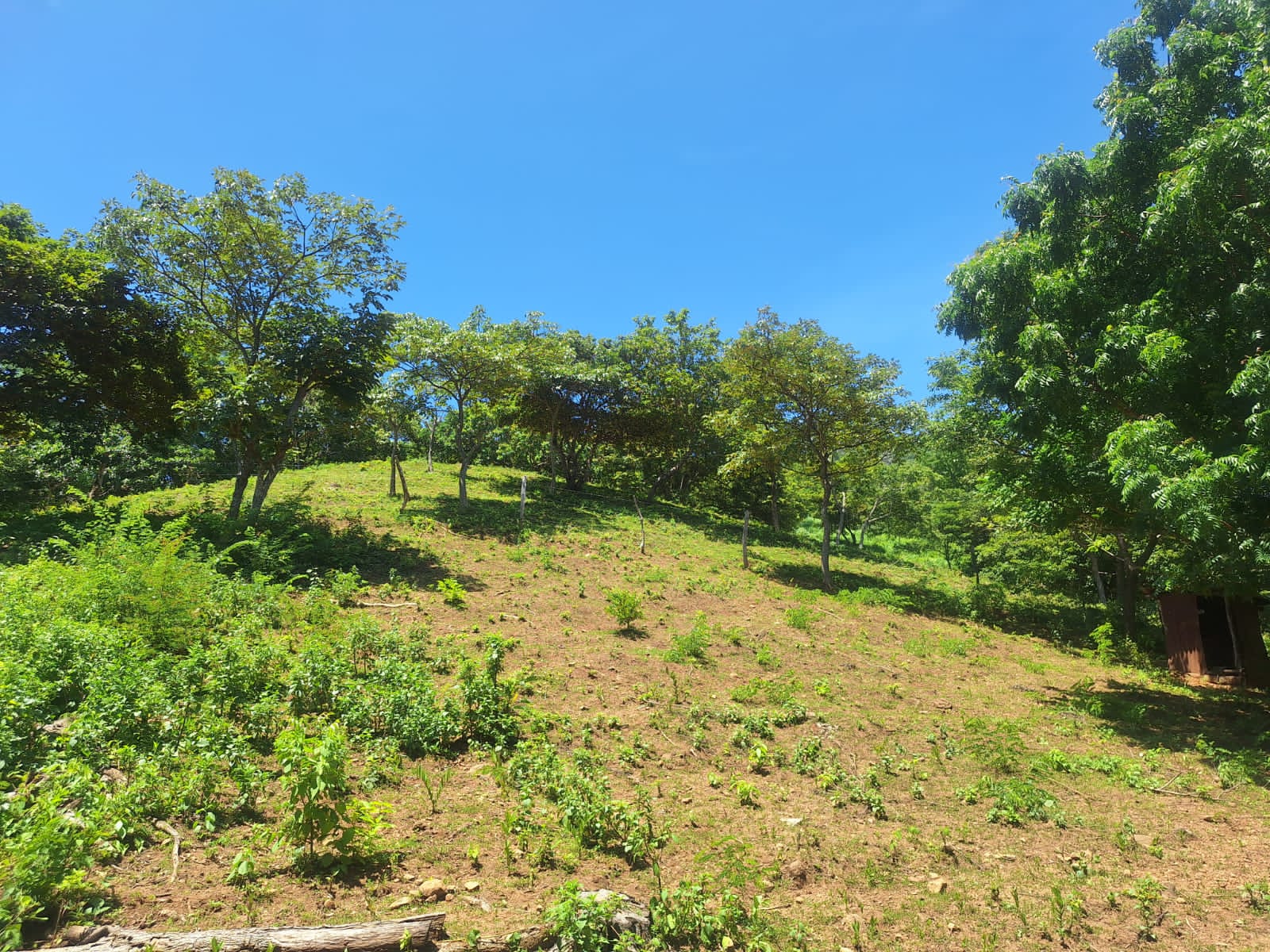 Lomas de la finca