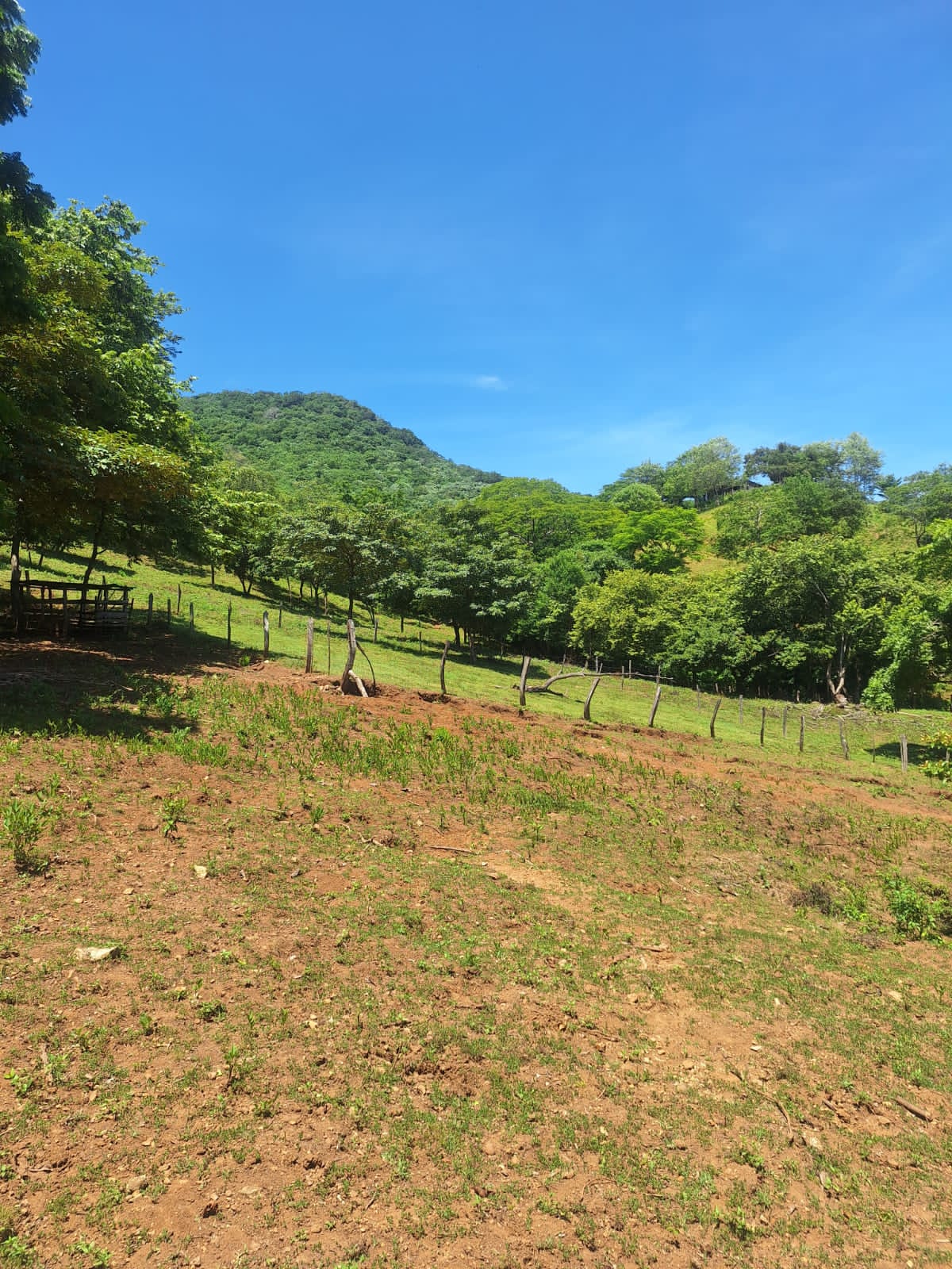 Vista interna del terreno