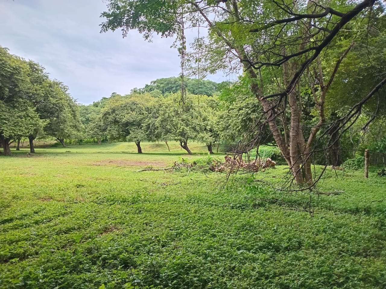 Lote premium de desarrollo en El Jobo, Guanacaste