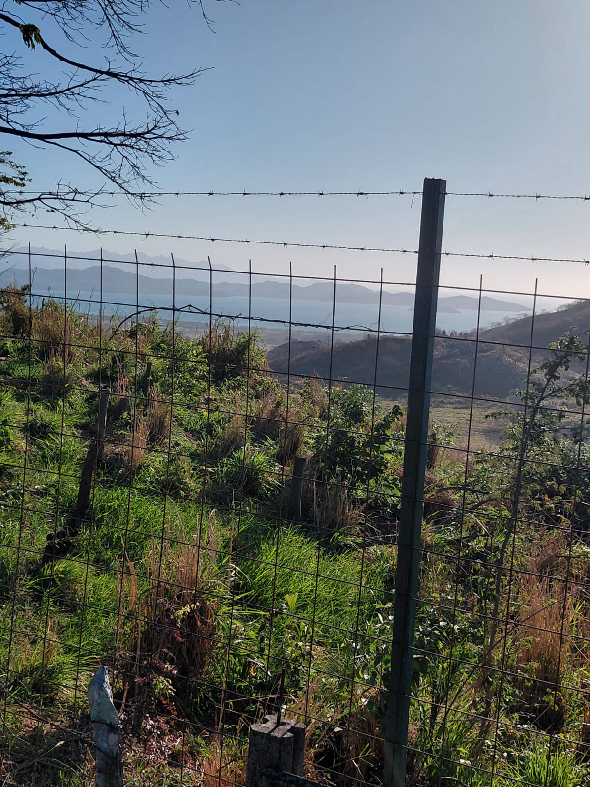 Panorámica costera desde la propiedad