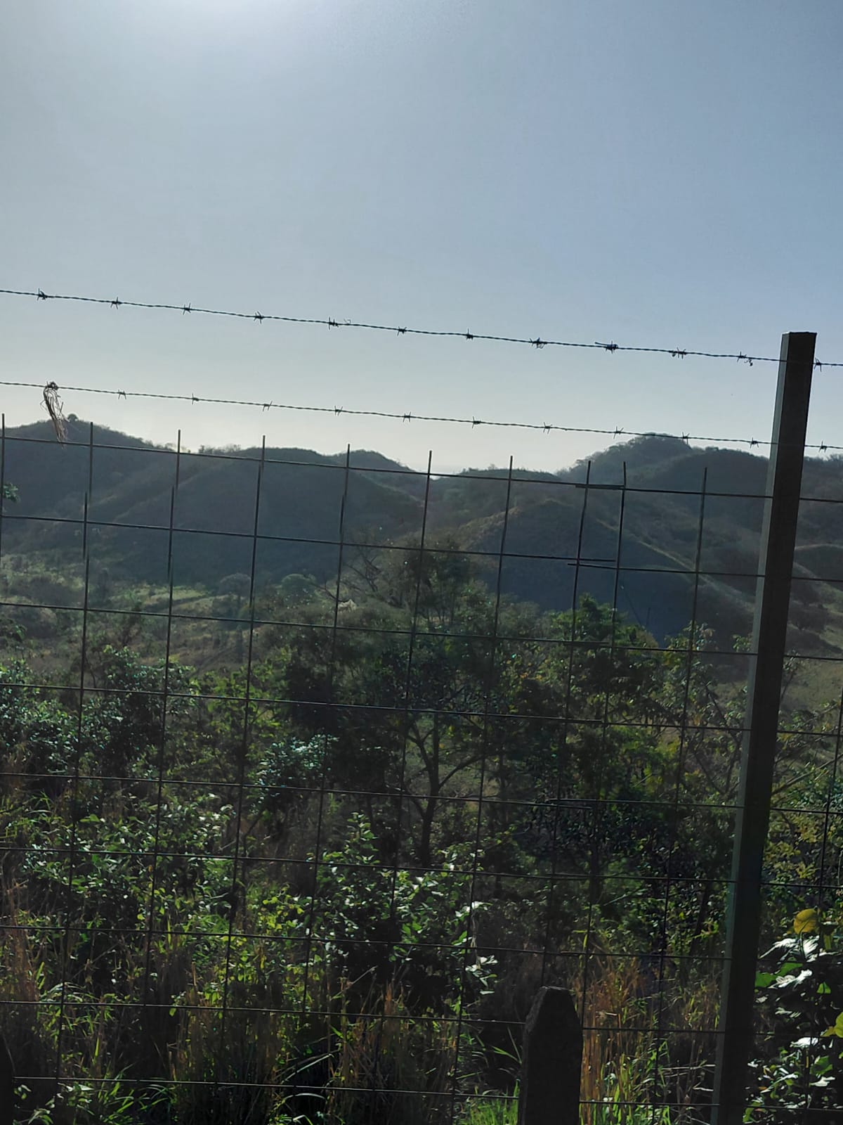 Vista hacia las montañas de Guanacaste