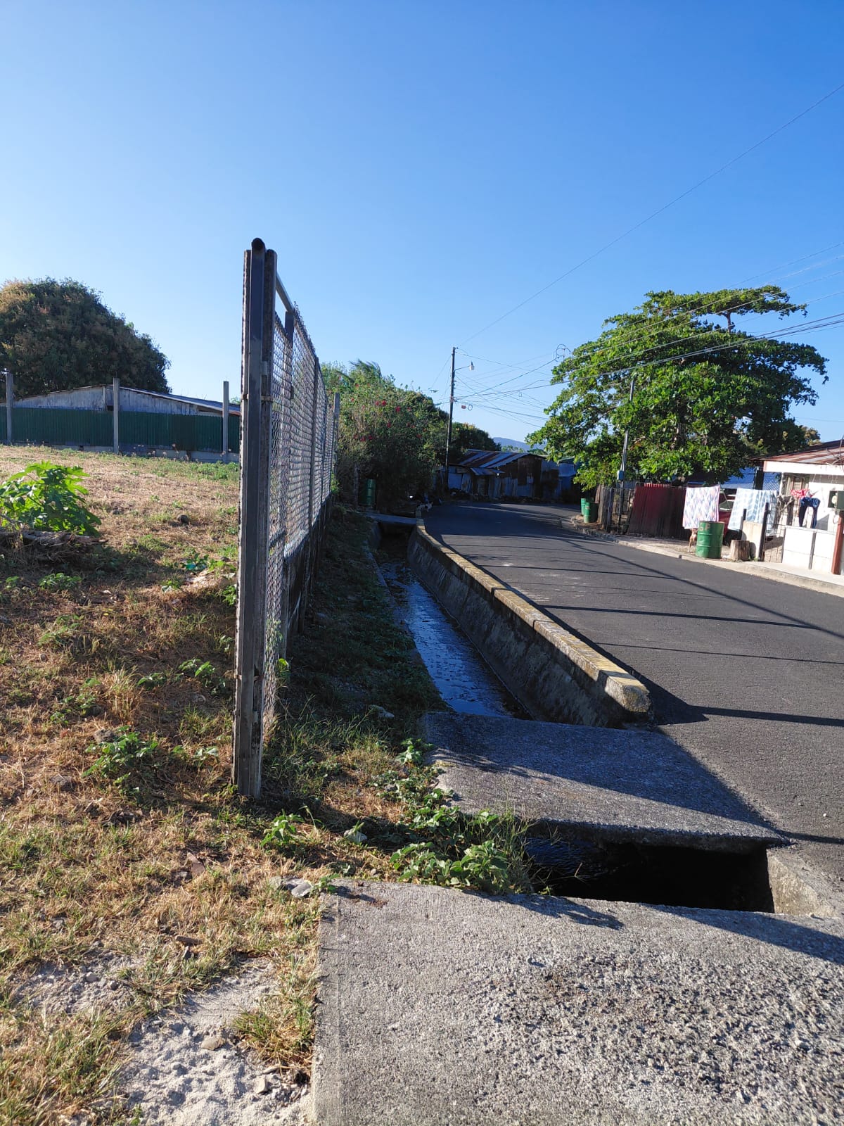 Calle y conectividad urbana