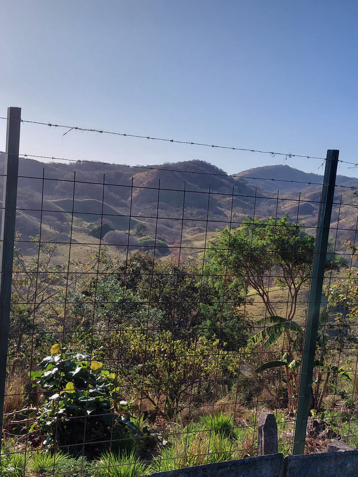 Paisaje montañoso desde el lote